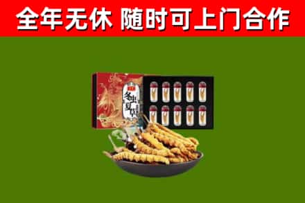 宣城市回收冬虫夏草价格